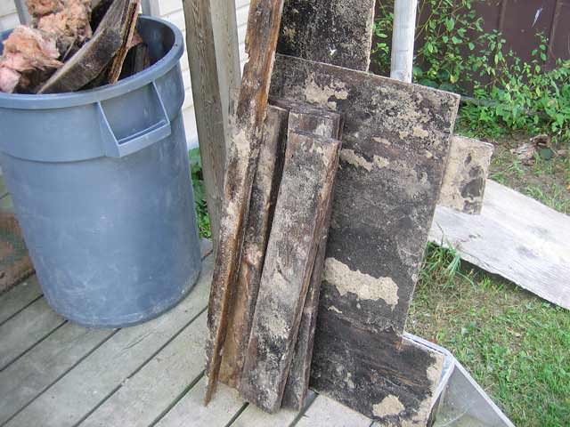 06lg rotting moldy wood